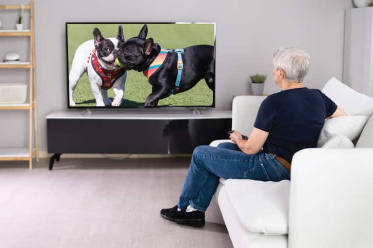 Exploring Zinnia TV: An Innovative Media Tool for Dementia Support